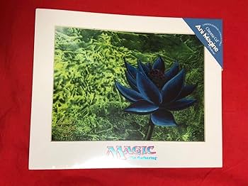 【最終値下げ】Black Lotus/MTGサインスタンプ入りアートプリント Amazon.co.jp: 大判《Black Lotus》Christopher Rush 証明書付
